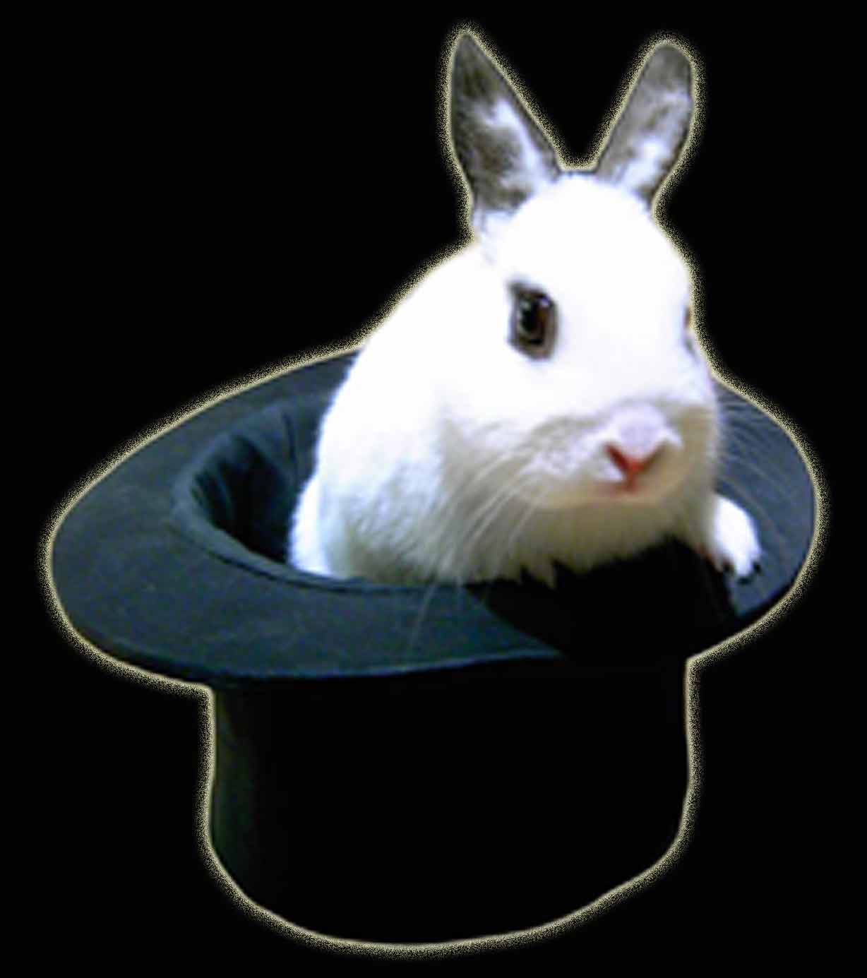 rabbit-in-hat.jpg